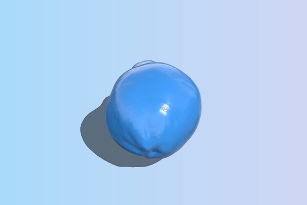 The Papaya | 3d print model