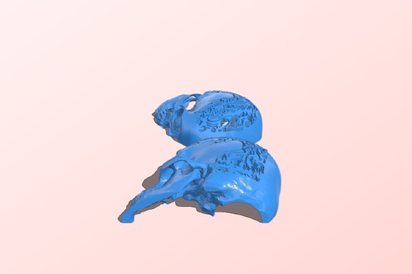Ragnar Lothbrok tattoo skull | 3d print model