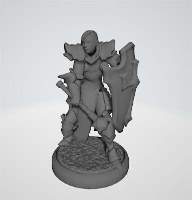 RPG Miniature - Paladin or Cleric | 3d print model