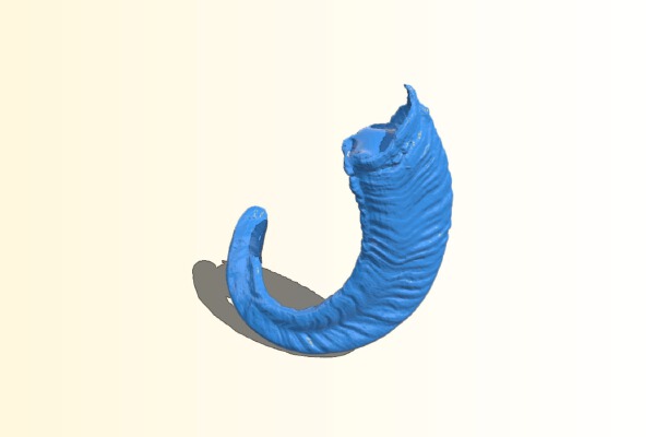 Ram's horn 3d scan | 3d print model