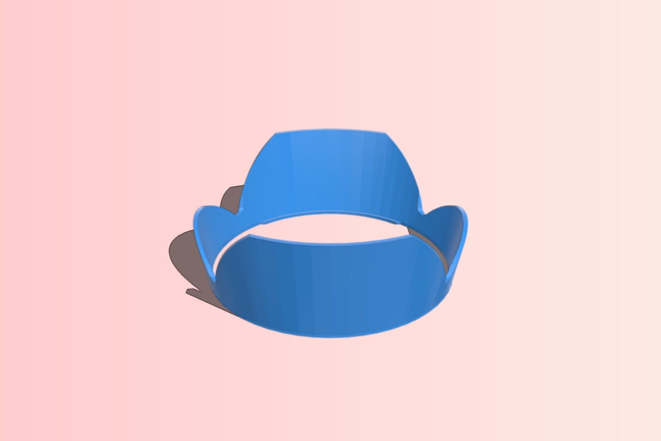 Canon 77mm Lens Hood