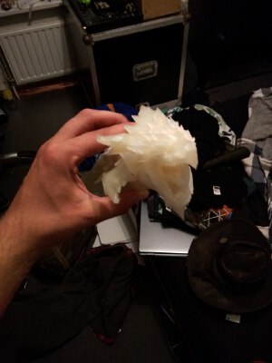 Rathalos Head Monster Hunter | 3d print model