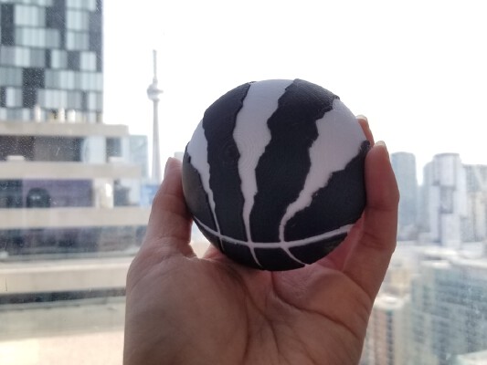 Multi-Color Toronto Raptors Basketball | 3d print model