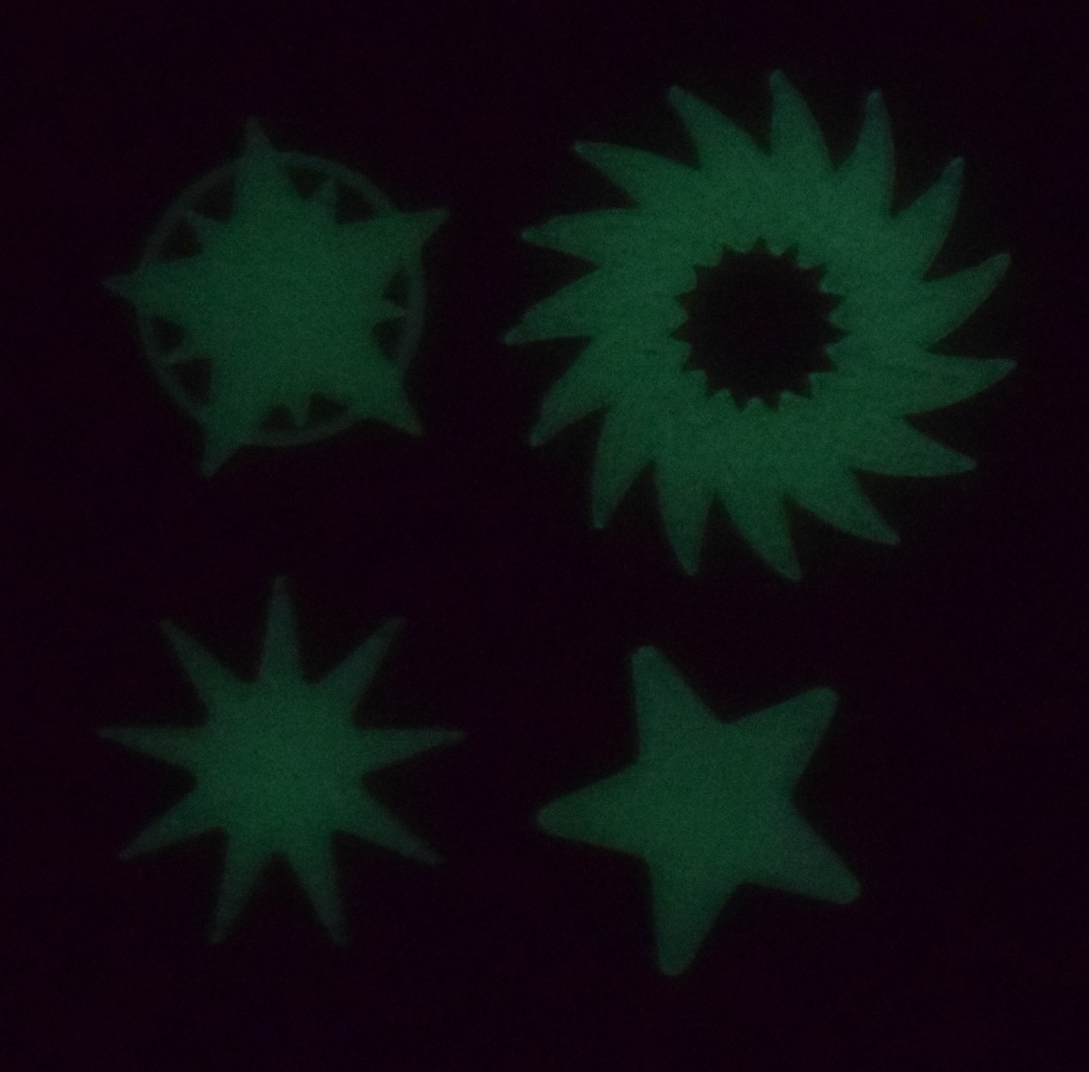 Glow in the Dark Stars