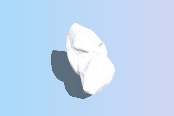 owl | 3d print model