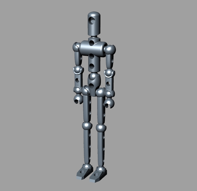 Human