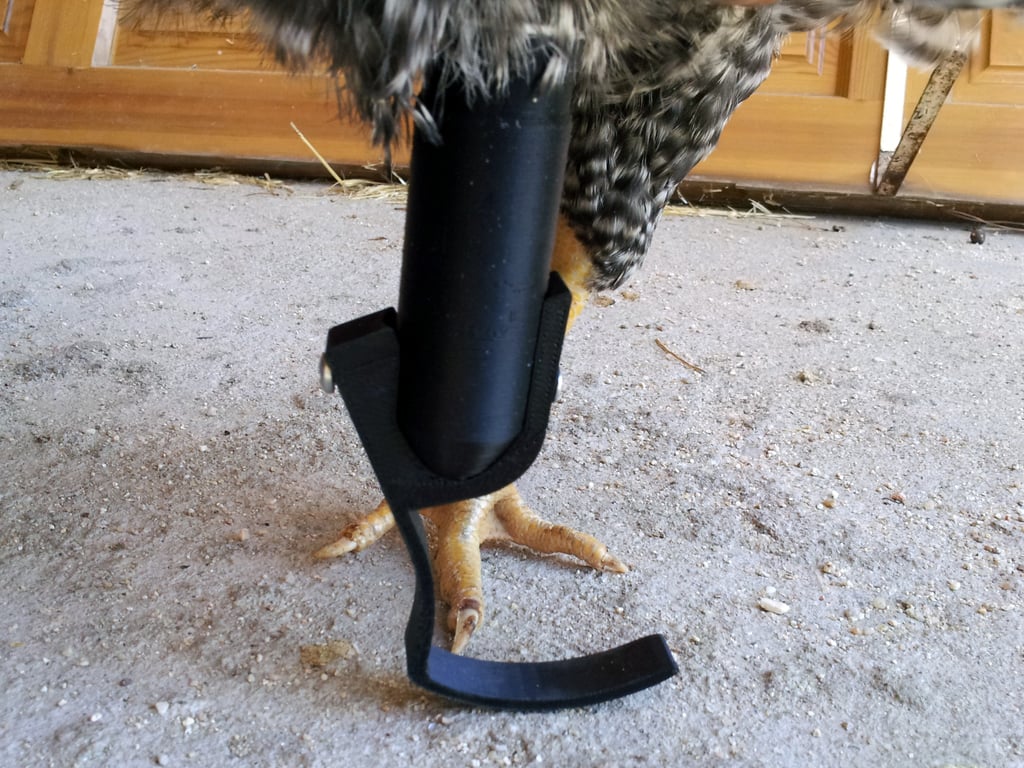 Chicken prosthesis