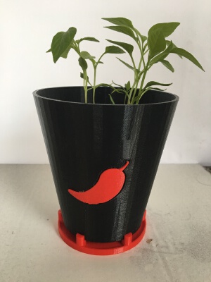 Chilli Plant Pot | 3d print model