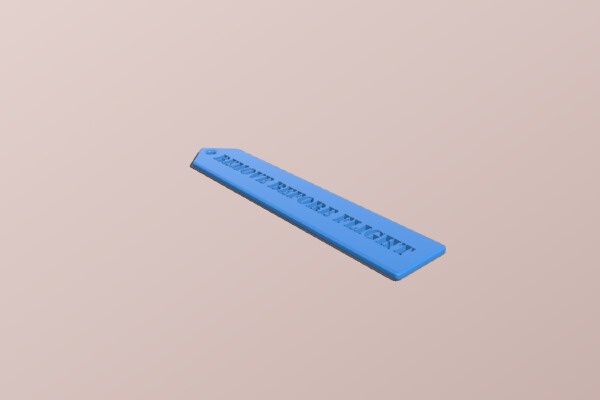 REMOVE BEFORE FLIGHT | 3d print model