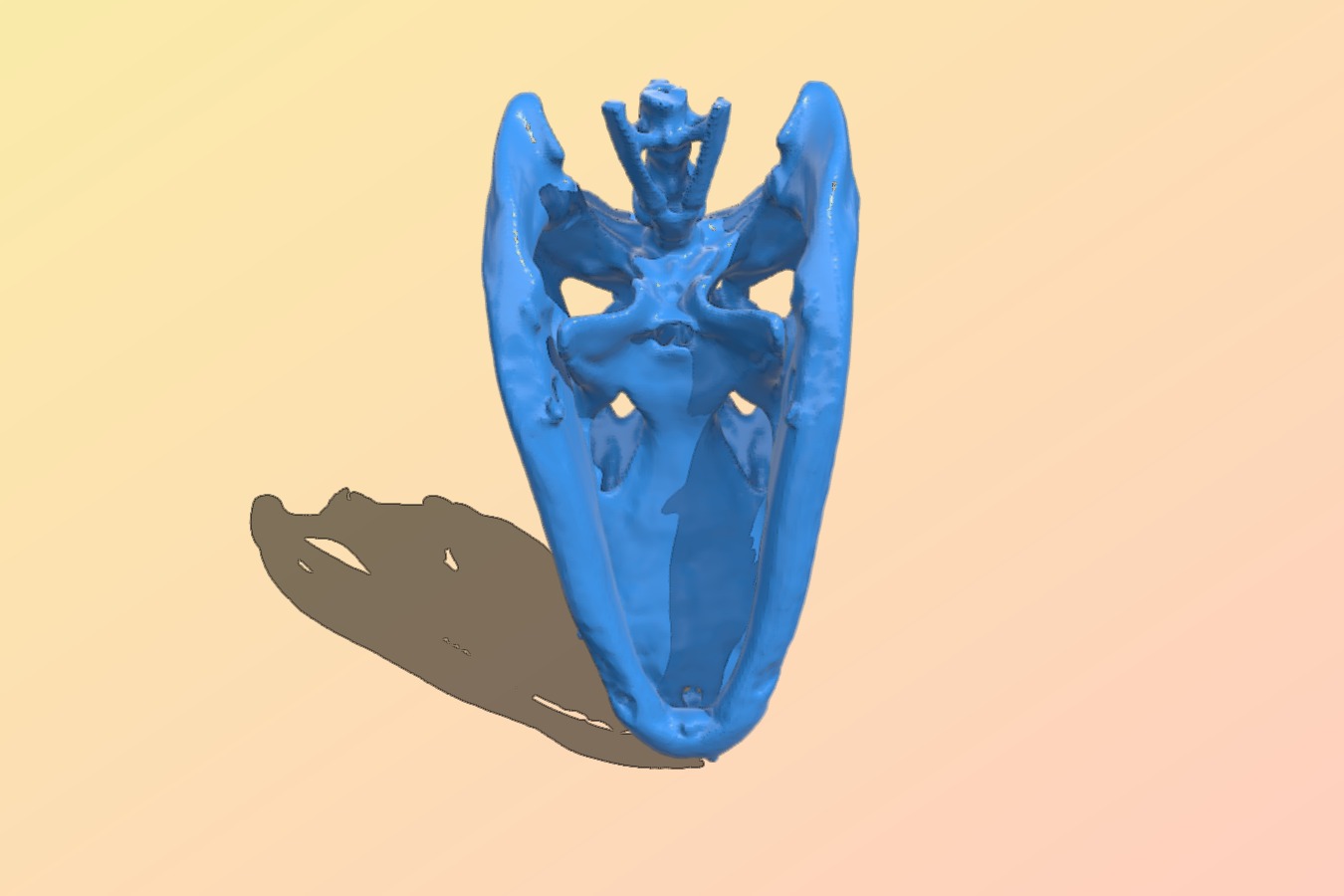 Alligator Skull head
