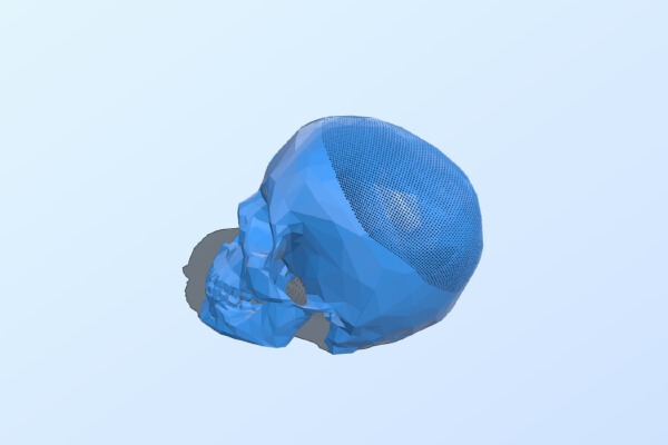 ScarPonyTails Skull v2 | 3d print model