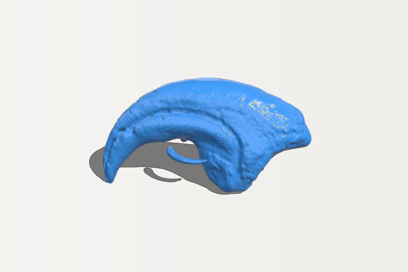 raptor claw