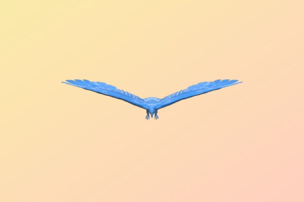 Soaring eagle | 3d print model
