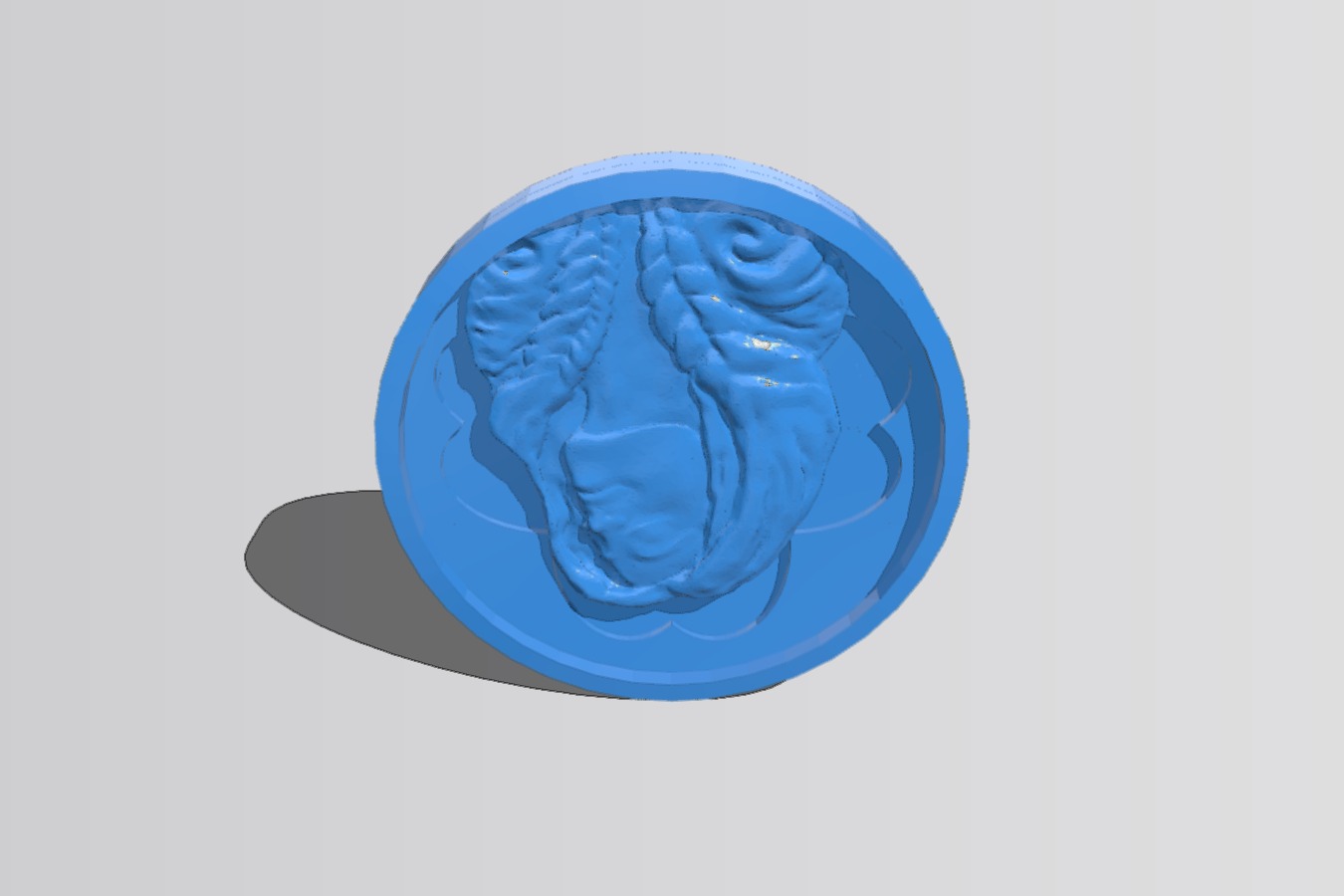 Dungeons and Dragons Fate Coin