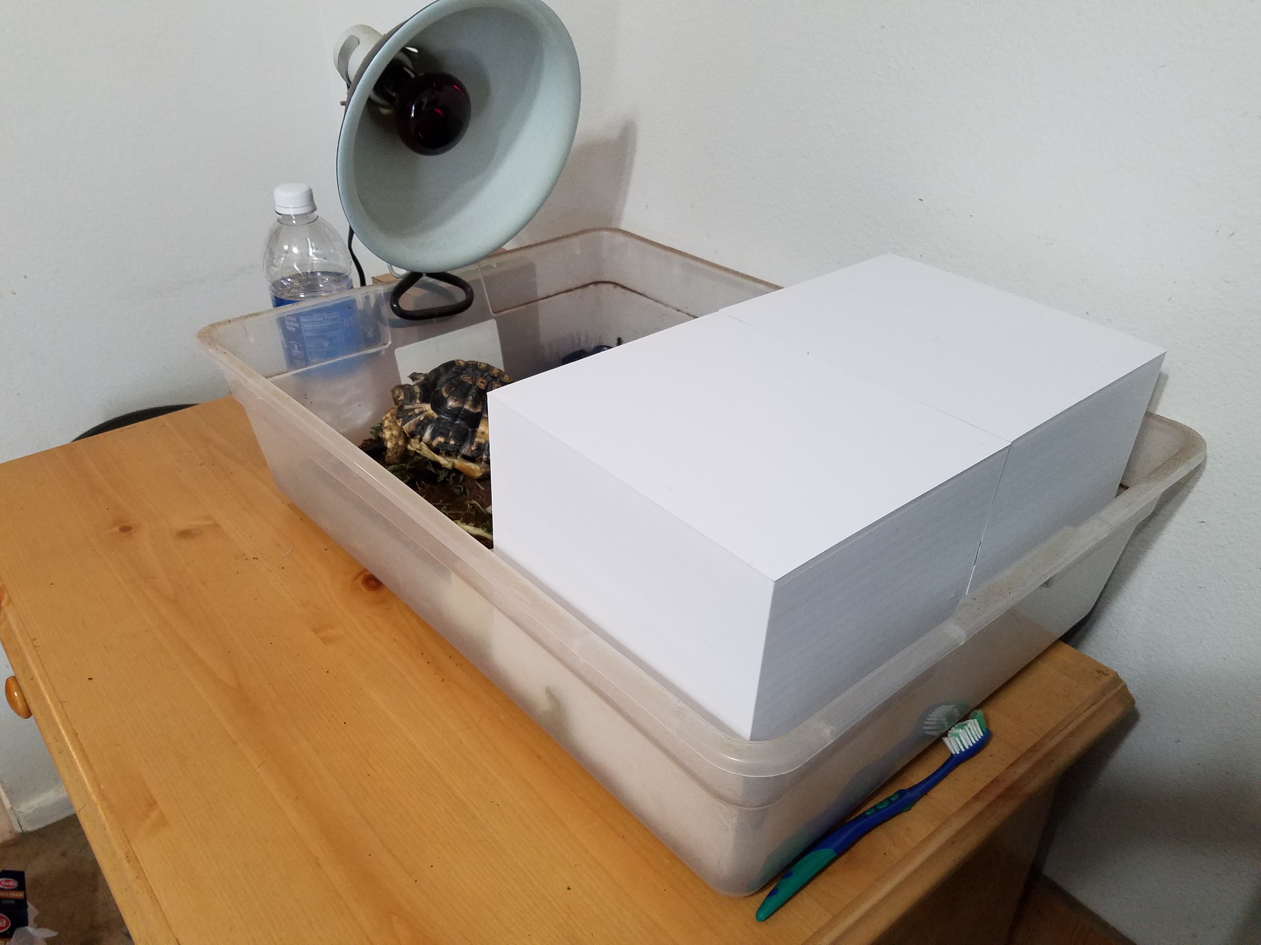 dff255de-cd21-46ec-bd9f-b1edf84db9fd