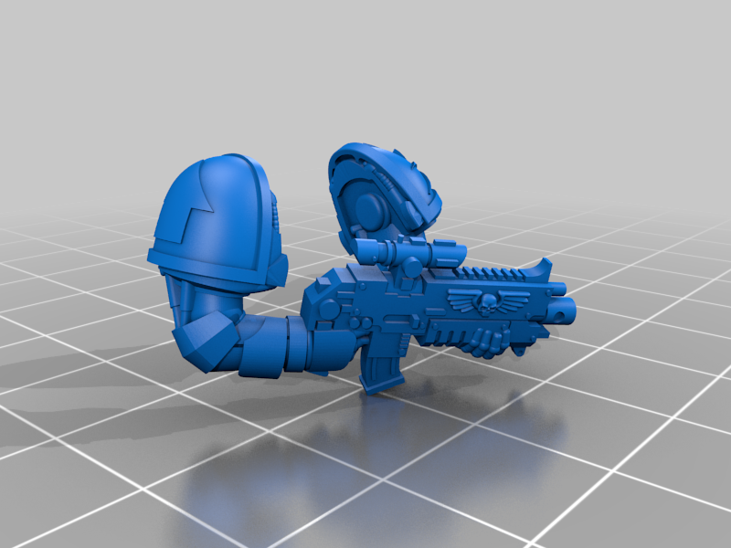 Battle Brother Paladin arms