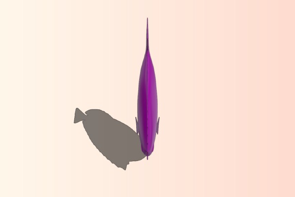 Powder Blue Tang – fish | 3d print model