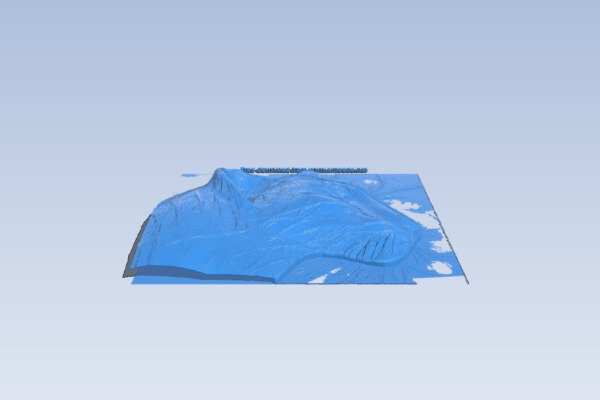 Panther painting | 3d print model