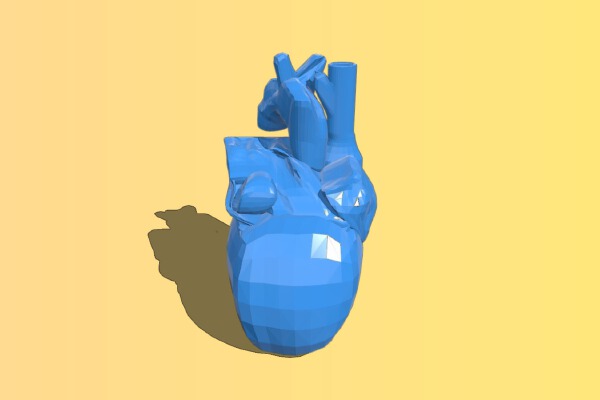 human heart anatomical | 3d print model