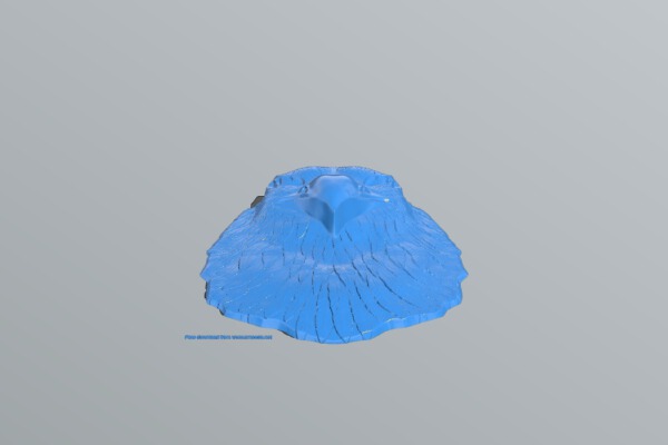 Eagle bird head | 3d print model