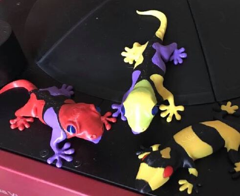 multicolor lizard | 3d print model