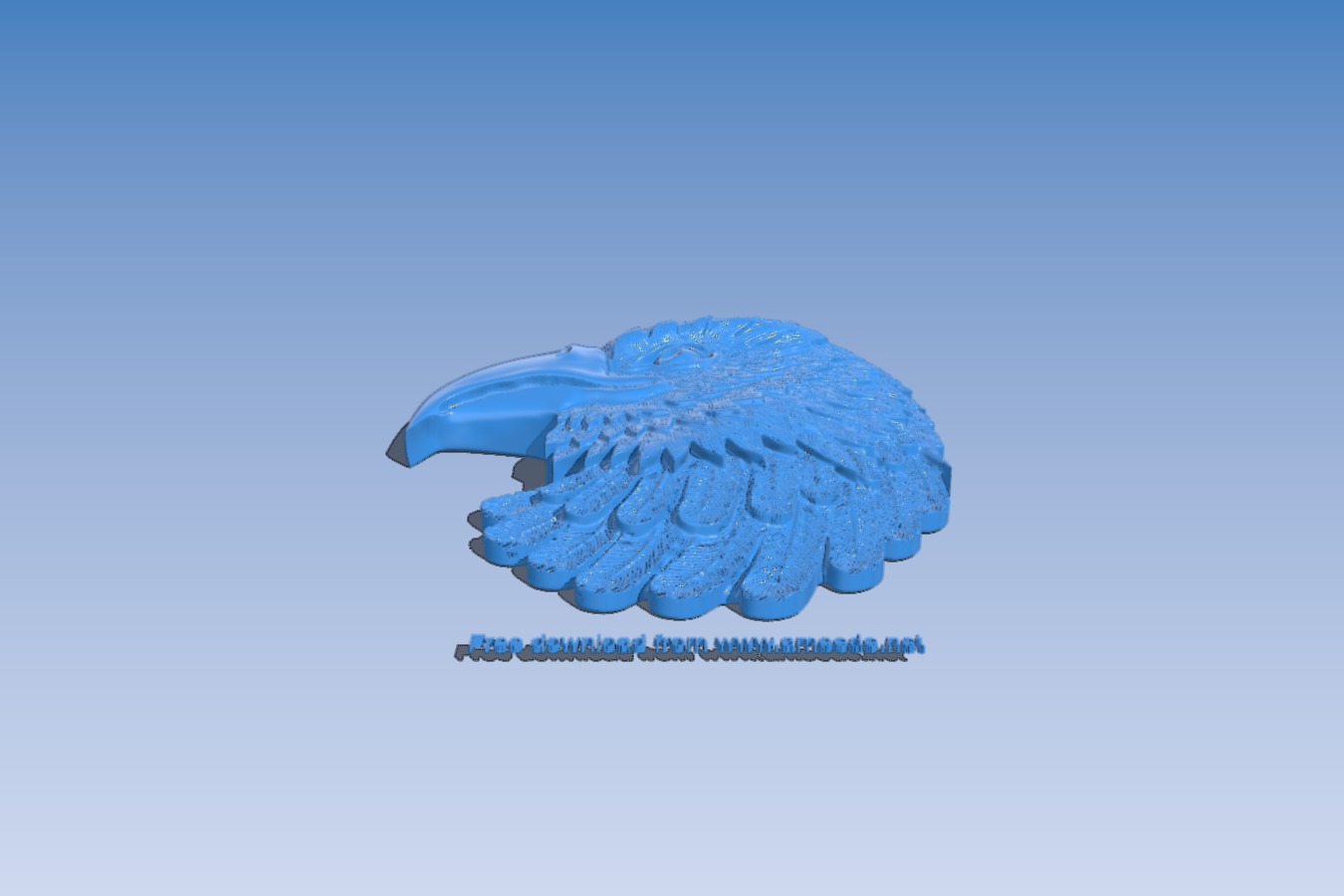 Eagle head