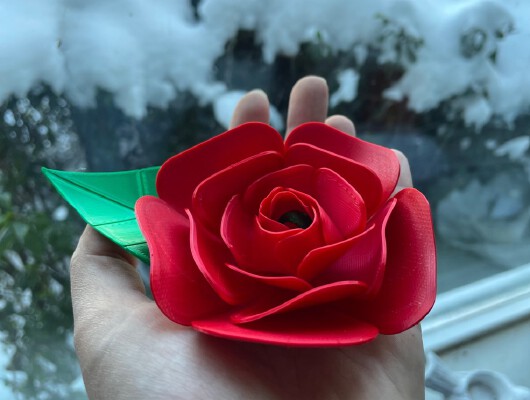 Rose | 3d print model