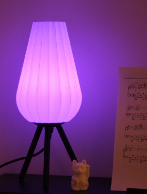 Elong Lamp | 3d print model