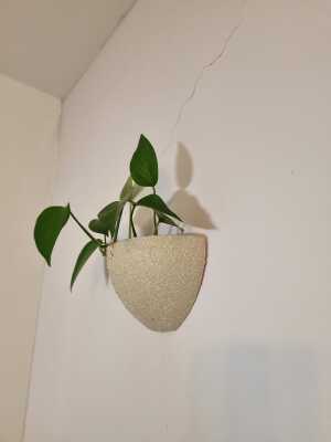 Wall Vase | 3d print model