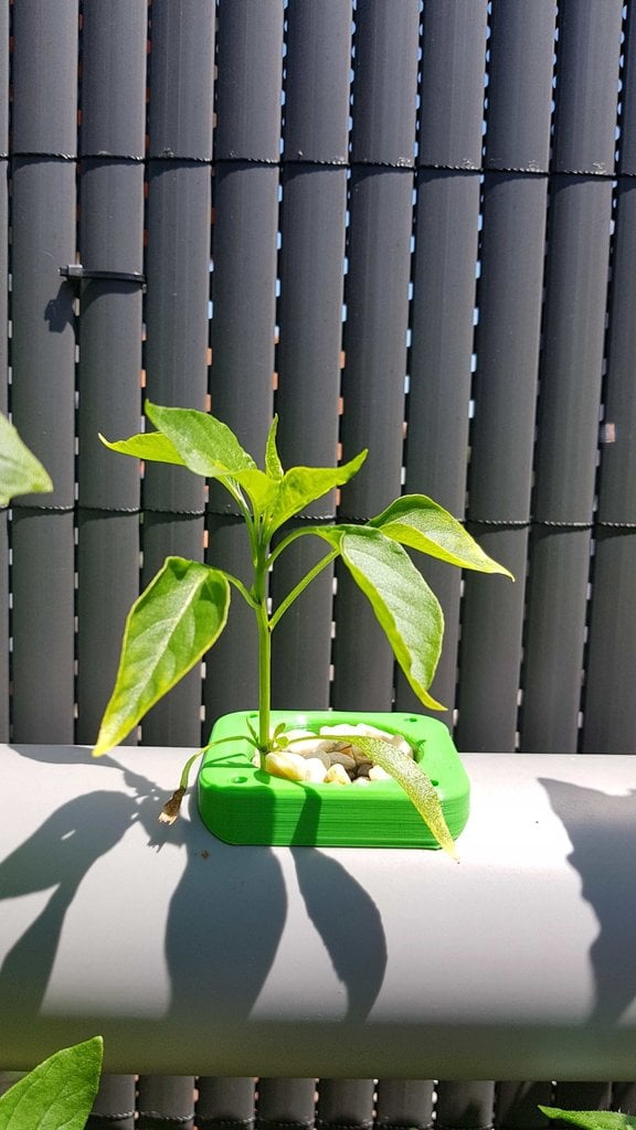 Modular Hydroponic System
