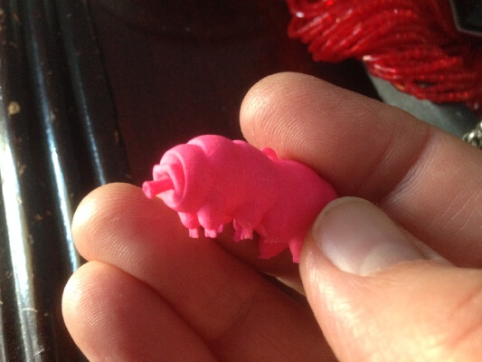 Tartigrade necklace | 3d print model