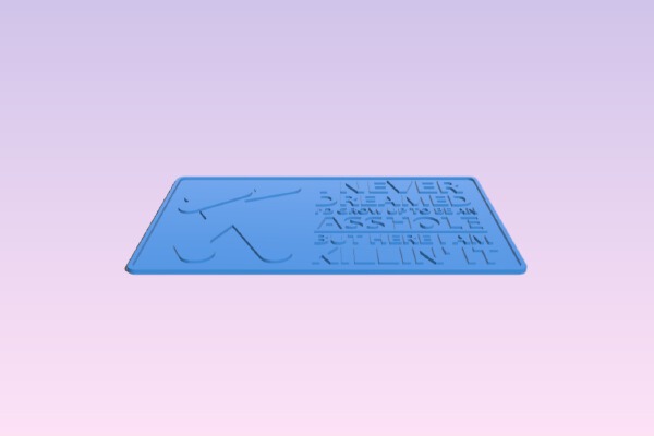 I NEVER DREAMED I'D GROW UP TO BE AN ***HOLE BUT HERE I AM KILLIN' IT SIGN | 3d print model