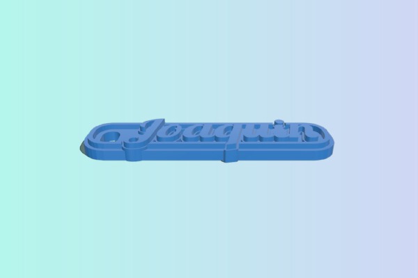 My Customized Multiline Tag or Keychain | 3d print model