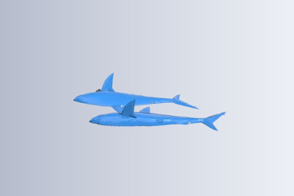 Reef Shark for easier printing | 3d print model