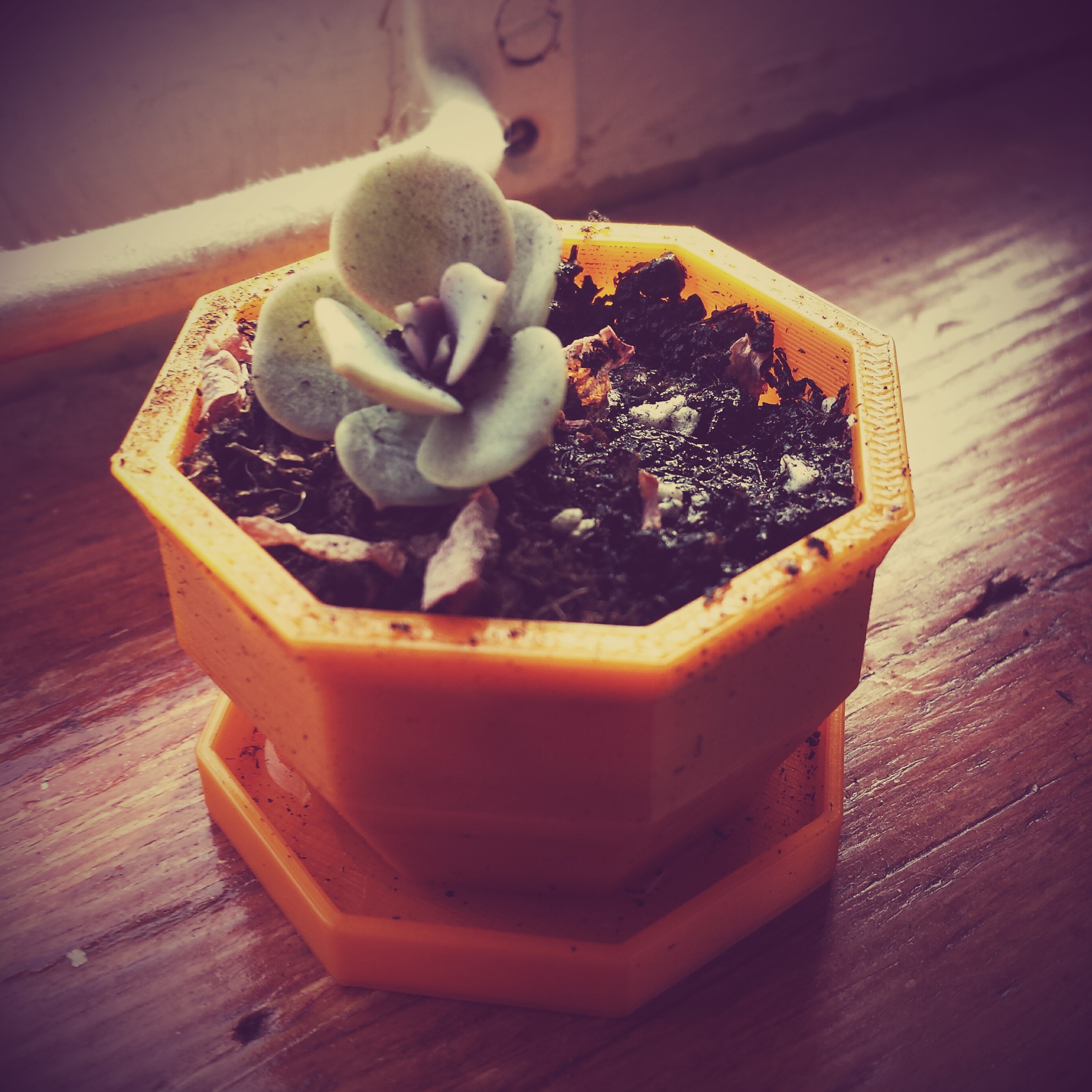 Simple mini planter with drainage - Octagonal version