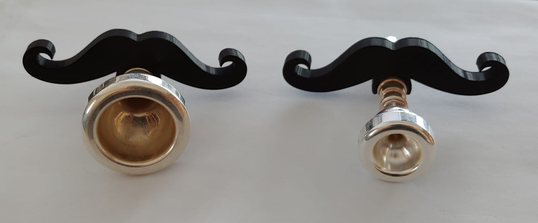 Mouthpiece Mustache