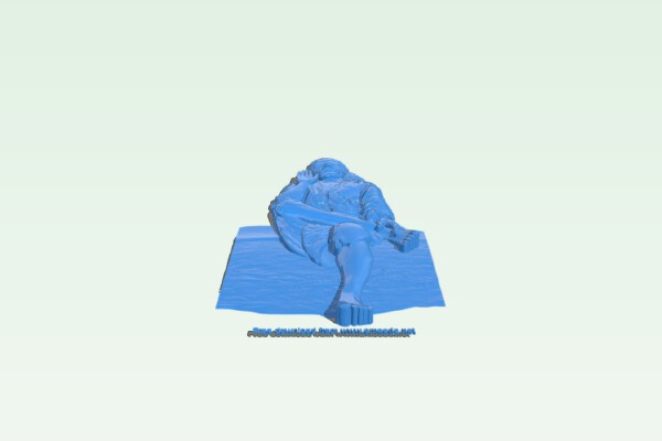 Shird Sai Baba | 3d print model