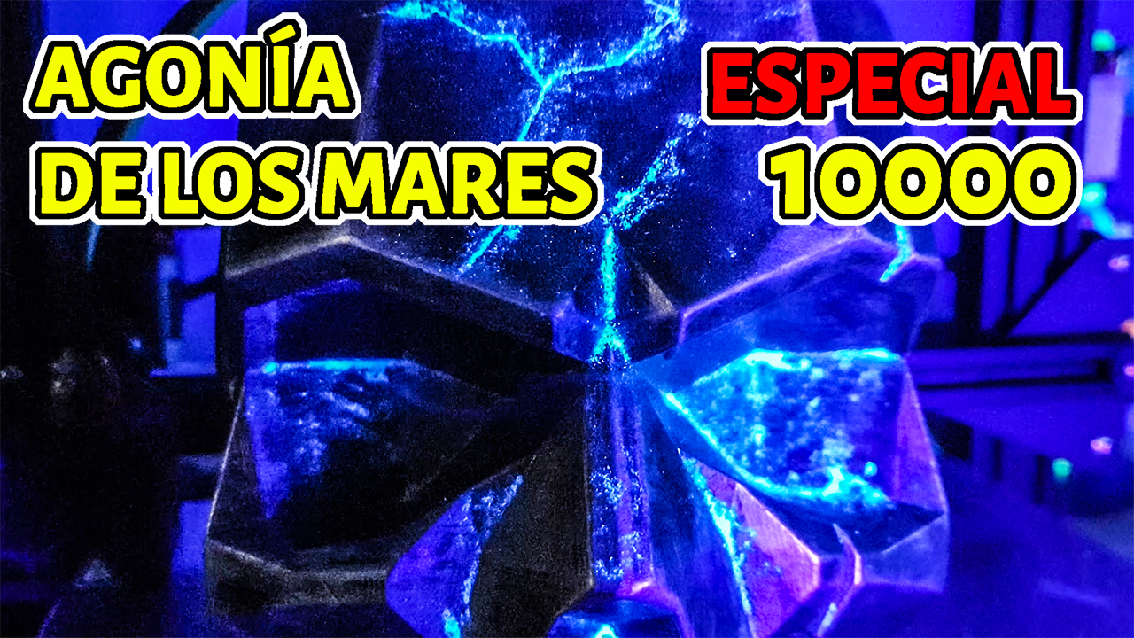 fc9b92d8-8dff-4b8e-b288-092ffd76bade