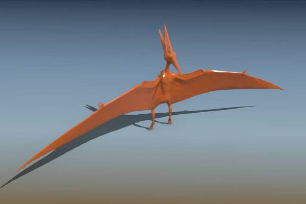 Pterodactyl Dinosaur 3D Print | 3d print model