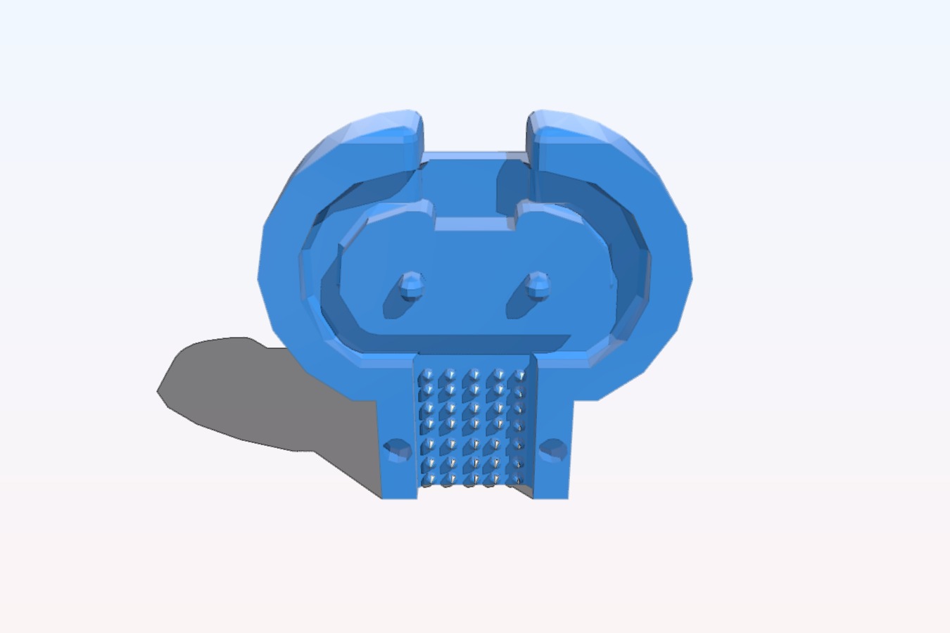 Carabiner holder