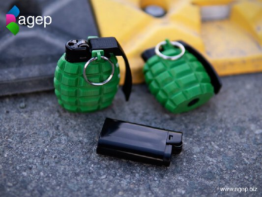 Lighter Case - Hand Grenade Shaped | 3d print model