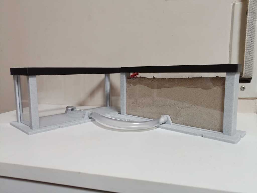 Hormiguero arena modular