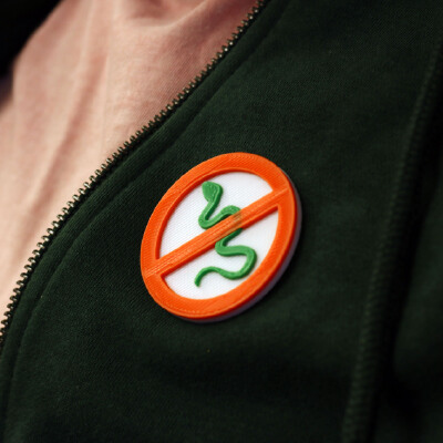 Multi-Color No Snakes in Ireland Pin | 3d print model