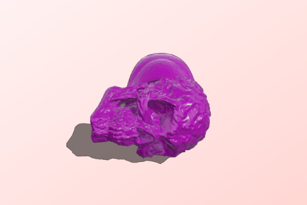 Skull ringdef | 3d print model