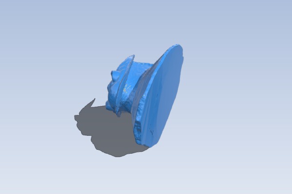 Trilobite Zlichovaspis hausmani | 3d print model