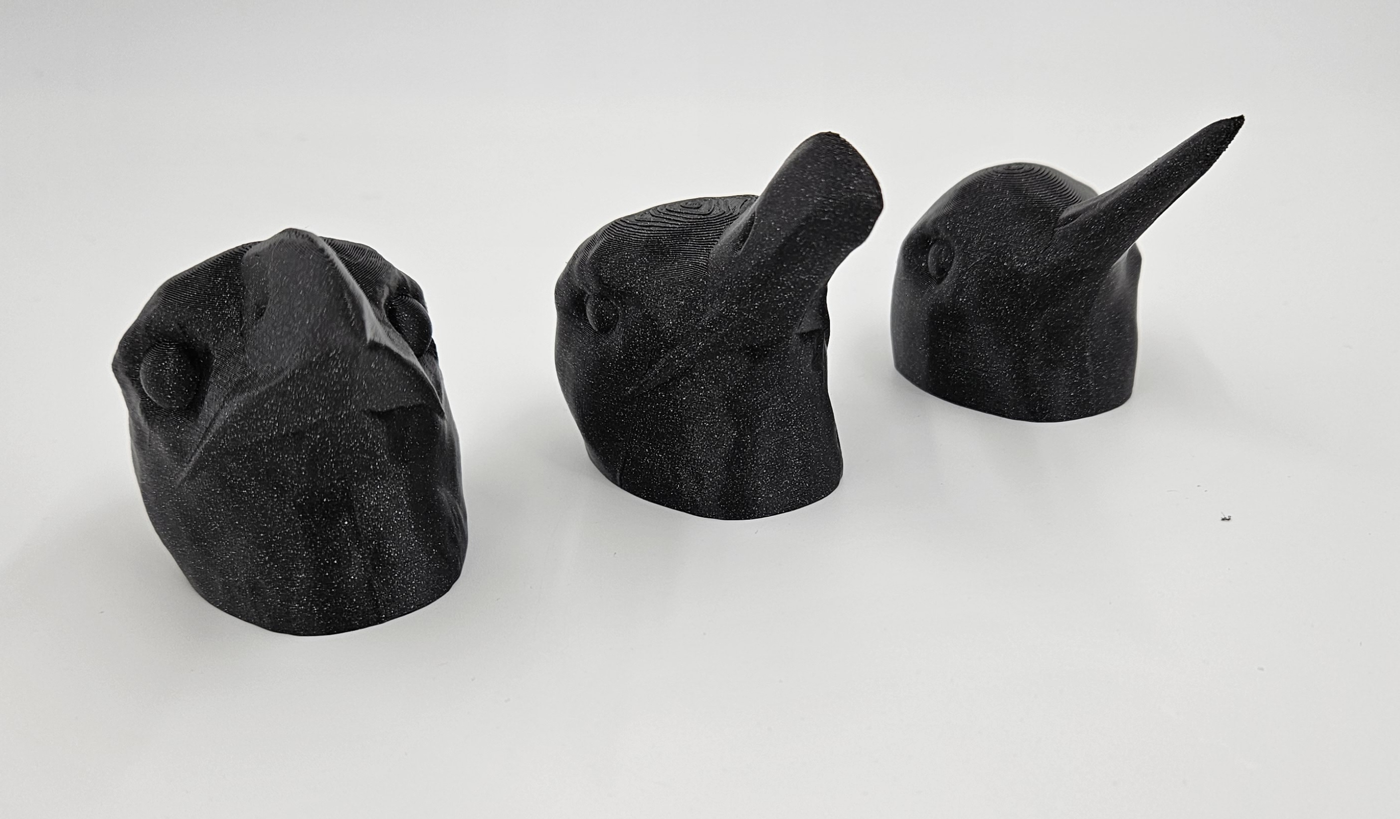 Collection of beaks of birds for education for VI