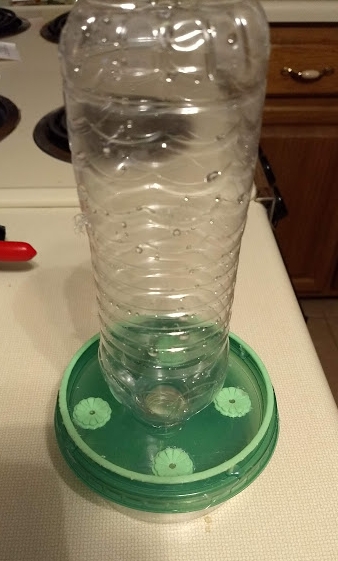 DIY Humming Bird Feeder