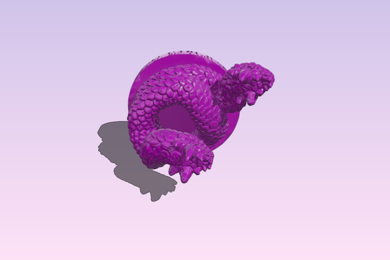 Amphis baena – Two-headed snake