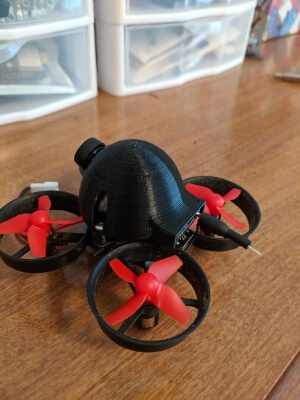 Tiny Whoop Camera Mount & Canopy | 3d print model