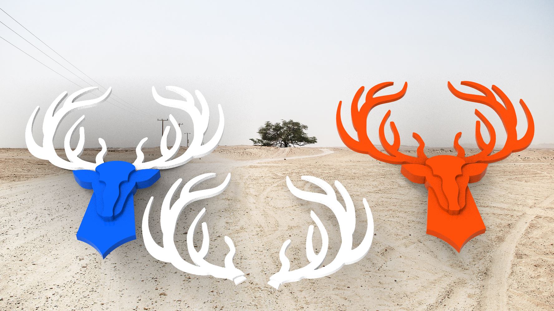 Stag. Deer with antlers